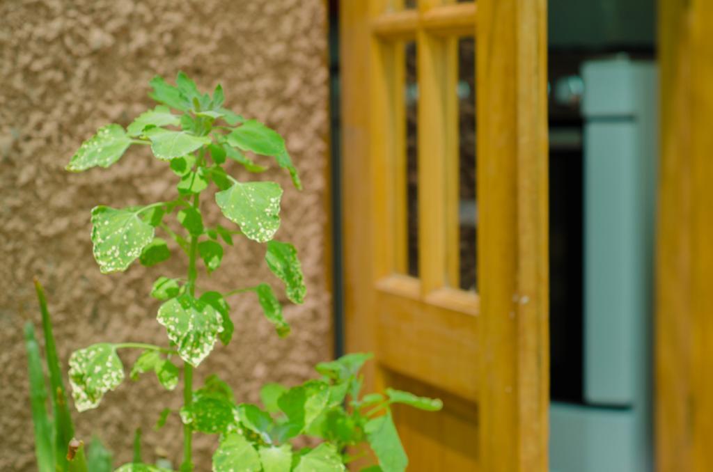 Hostal Alabalti Сан-Педро-де-Атакама Экстерьер фото